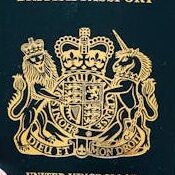 cropped cropped pexels photo 5428705 5428705.jpg